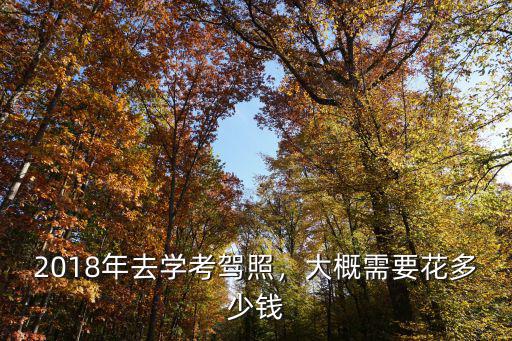 2018年去學(xué)考駕照，大概需要花多少錢