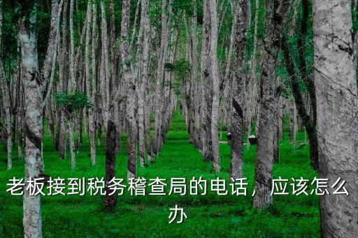 淄博稅務(wù)稽查電話是多少,稅務(wù)稽查的工作是什么