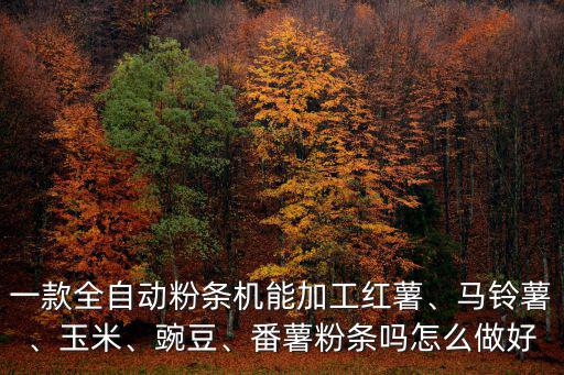 揭陽粉條機(jī)怎么選,怎么挑選紅薯粉條