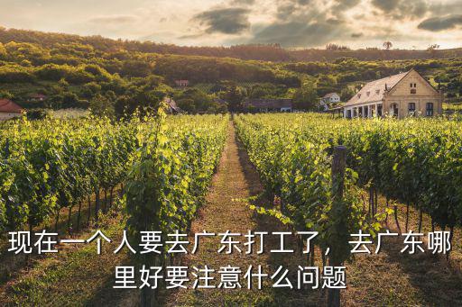 現(xiàn)在一個(gè)人要去廣東打工了，去廣東哪里好要注意什么問題