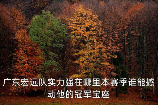 廣東宏遠冠軍手表哪里買,廣東宏遠隊如果拿冠軍了