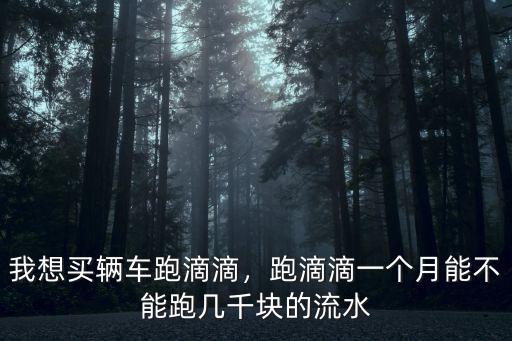 我想買輛車跑滴滴，跑滴滴一個月能不能跑幾千塊的流水