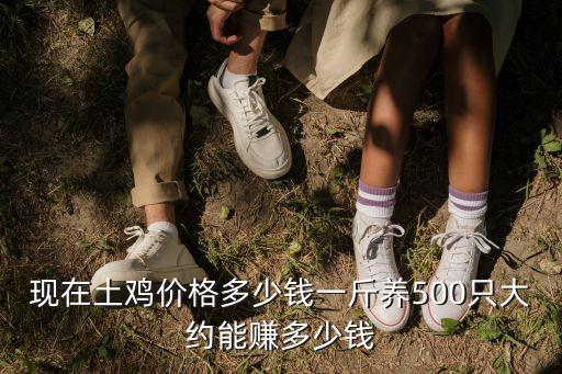 徐州草公雞一斤多少錢,養(yǎng)500只大約能賺多少錢
