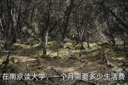 在南京讀大學，一個月需要多少生活費