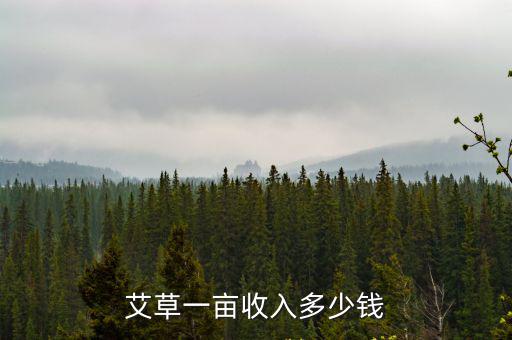 艾草一畝收入多少錢