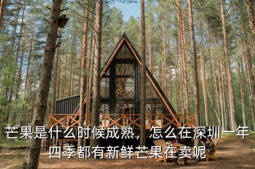 芒果是什么時候成熟，怎么在深圳一年四季都有新鮮芒果在賣呢