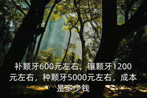 在蘇州補顆牙大概需要多少錢,成本是多少錢