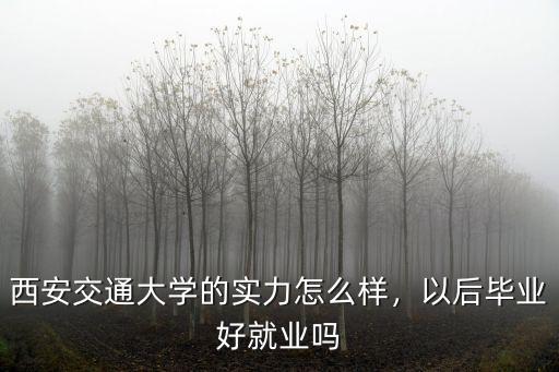 西安交大在廣東就業(yè)怎么樣,就業(yè)前途怎么樣