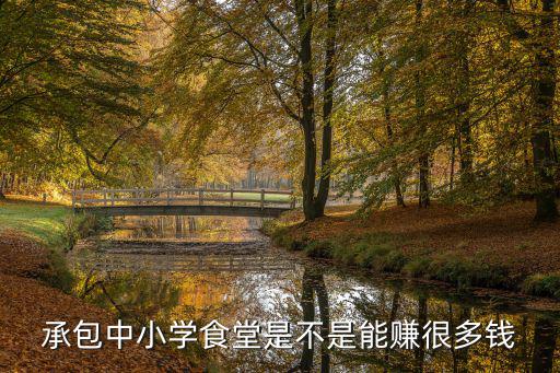 徐州中學食堂承包多少錢,想承包個學校食堂窗口