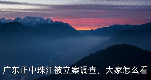 廣東 正中珠江 怎么樣,廣東正中珠江被立案調查