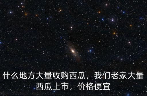 什么地方大量收購西瓜，我們老家大量西瓜上市，價格便宜