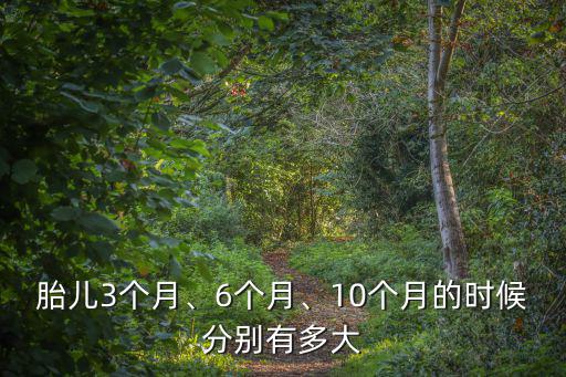 廣東地區(qū)有多少個月的孕期,10個月的時候分別有多大