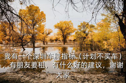 深圳小汽車指標(biāo)有多少個(gè),我有一個(gè)深圳車牌指標(biāo)