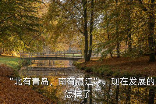 “北有青島，南有湛江”，現(xiàn)在發(fā)展的怎樣了