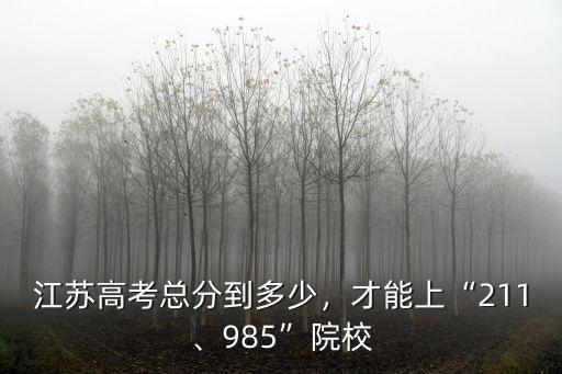 江蘇高考到底多少分能上本科,江蘇高考總分到多少