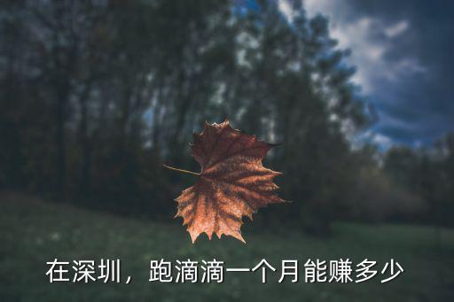 在深圳，跑滴滴一個月能賺多少