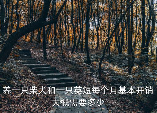 養一只柴犬和一只英短每個月基本開銷大概需要多少