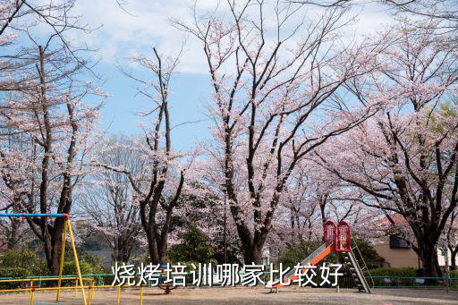 惠州燒烤培訓班哪里最好,去哪里比較好呢