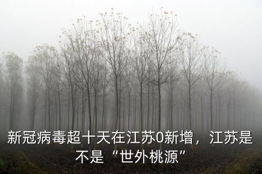 新冠病毒超十天在江蘇0新增，江蘇是不是“世外桃源”