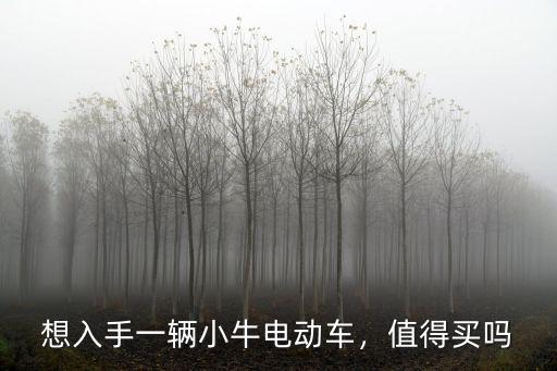 小牛電動車廣州怎么買,想入手一輛小牛電動車