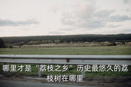 哪里才是“荔枝之鄉”歷史最悠久的荔枝樹在哪里
