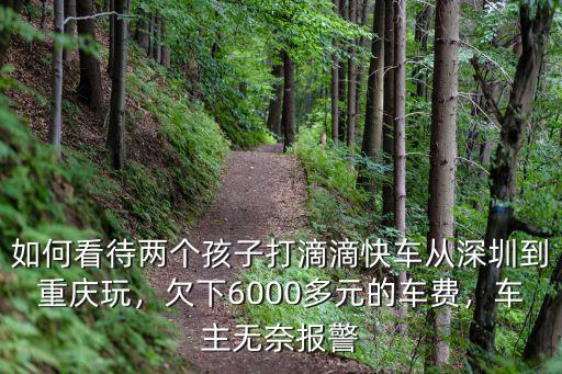 如何看待兩個孩子打滴滴快車從深圳到重慶玩，欠下6000多元的車費，車主無奈報警