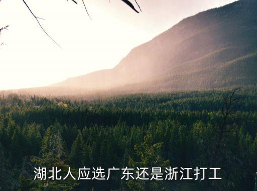 湖北有多少人流入廣東,為什么湖北人愛去廣東