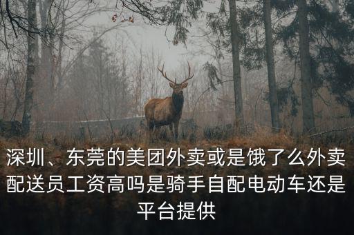 深圳、東莞的美團(tuán)外賣或是餓了么外賣配送員工資高嗎是騎手自配電動(dòng)車還是平臺提供