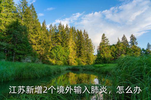 2月13日江蘇肺炎新增多少例,江蘇新增兩例輸入型病例