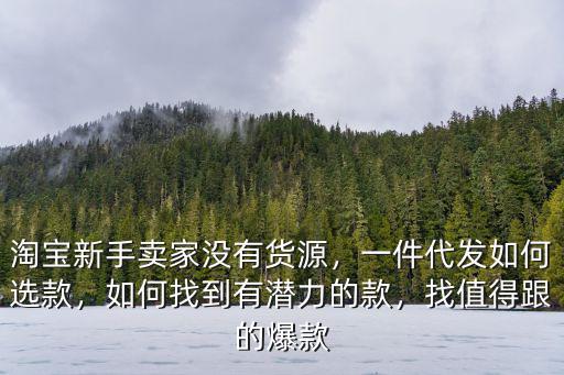 淘寶新手賣家沒有貨源，一件代發如何選款，如何找到有潛力的款，找值得跟的爆款
