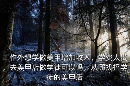 工作外想學做美甲增加收入，學費太貴，去美甲店做學徒可以嗎，從哪找招學徒的美甲店