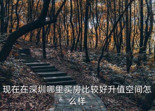 去深圳哪里看房比較好,現在在深圳哪里買房比較好
