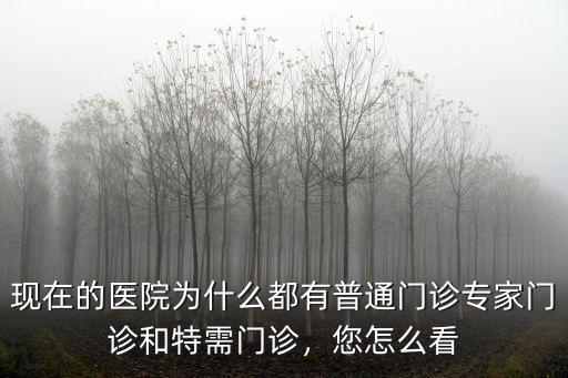 東莞市人民醫(yī)院特需門診怎么樣,特需門診都有什么區(qū)別