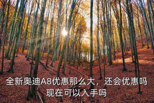 全新奧迪A8優(yōu)惠那么大，還會優(yōu)惠嗎現(xiàn)在可以入手嗎