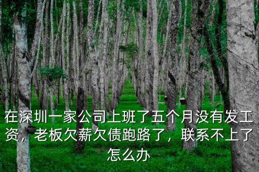 在深圳一家公司上班了五個月沒有發工資，老板欠薪欠債跑路了，聯系不上了怎么辦