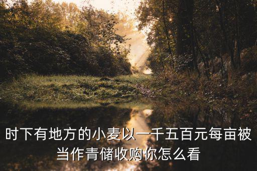 廣東哪里有收購小麥的,哪里收小麥價檢高有現錢