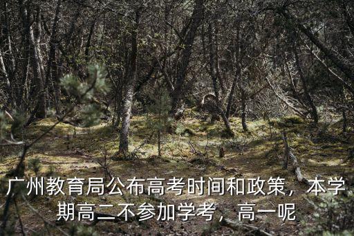 高二到廣州的考生怎么高考,廣州戶籍異地學籍怎么高考