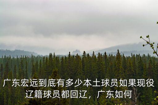 廣東宏遠到底有多少本土球員如果現役遼籍球員都回遼，廣東如何