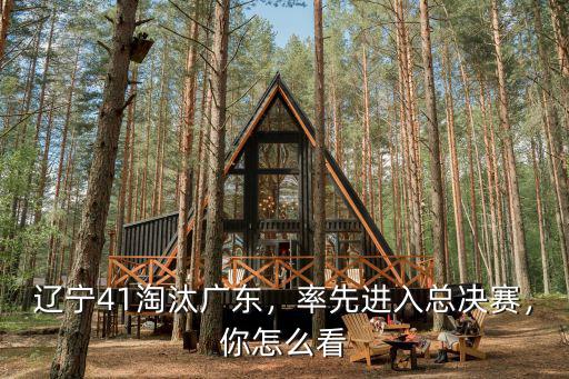 遼寧41淘汰廣東，率先進(jìn)入總決賽，你怎么看