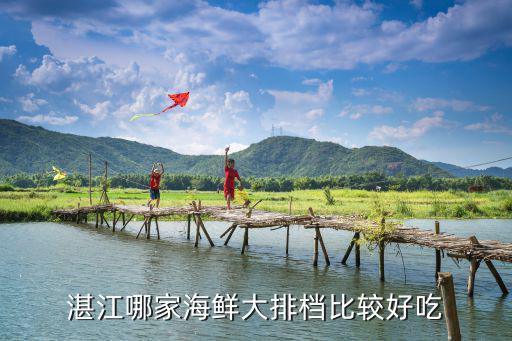 湛江海鮮魚片哪里好吃,湛江哪里的海鮮最好吃