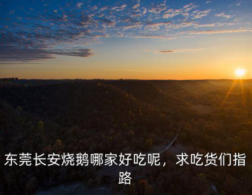 東莞長安哪里的燒鵝好吃,東莞長安燒鵝哪家好吃呢