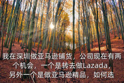 我在深圳做亞馬遜鋪貨，公司現(xiàn)在有兩個(gè)機(jī)會(huì)，一個(gè)是轉(zhuǎn)去做Lazada，另外一個(gè)是做亞馬遜精品，如何選