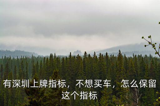 深圳的指標怎么延期,有深圳上牌指標