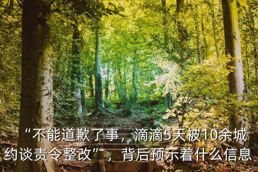 “不能道歉了事，滴滴5天被10余城約談責令整改”，背后預示著什么信息