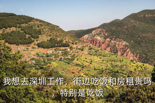 我想去深圳工作，街邊吃飯和房租貴嗎，特別是吃飯