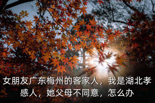 女朋友是廣州人怎么辦啊,女朋友是廣東人