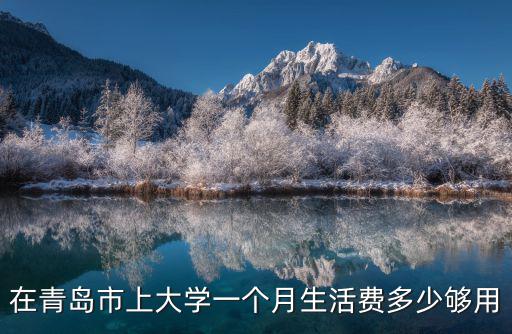 在青島市上大學一個月生活費多少夠用