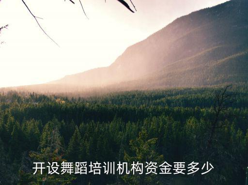 蘇州開一個舞蹈培訓(xùn)機(jī)構(gòu)多少錢,開一家培訓(xùn)機(jī)構(gòu)賺錢嗎