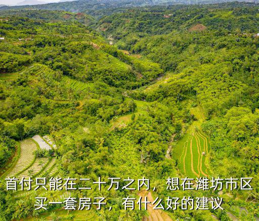 首付只能在二十萬之內，想在濰坊市區買一套房子，有什么好的建議