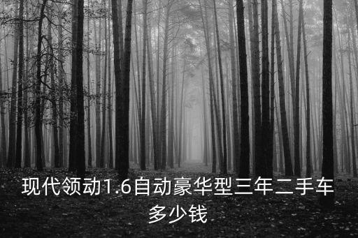 南京18年現(xiàn)代領(lǐng)動(dòng)二手的多少錢(qián),有一輛領(lǐng)動(dòng)精英版